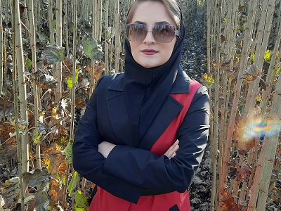 خرید نهال صنوبر
